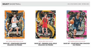 Pick Your Division in 2024/25 Panini Select Basketball Mega ID 25SELMEGA108