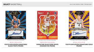 Pick Your Division in 2024/25 Panini Select Basketball Mega ID 25SELMEGA108