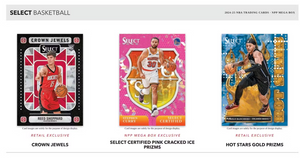 Pick Your Division in 2024/25 Panini Select Basketball Mega ID 25SELMEGA108