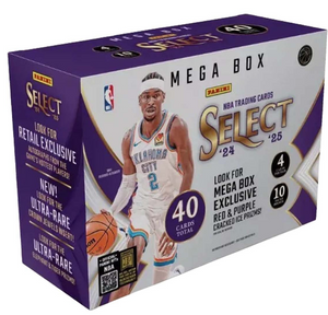 Pick Your Division in 2024/25 Panini Select Basketball Mega ID 25SELMEGA108